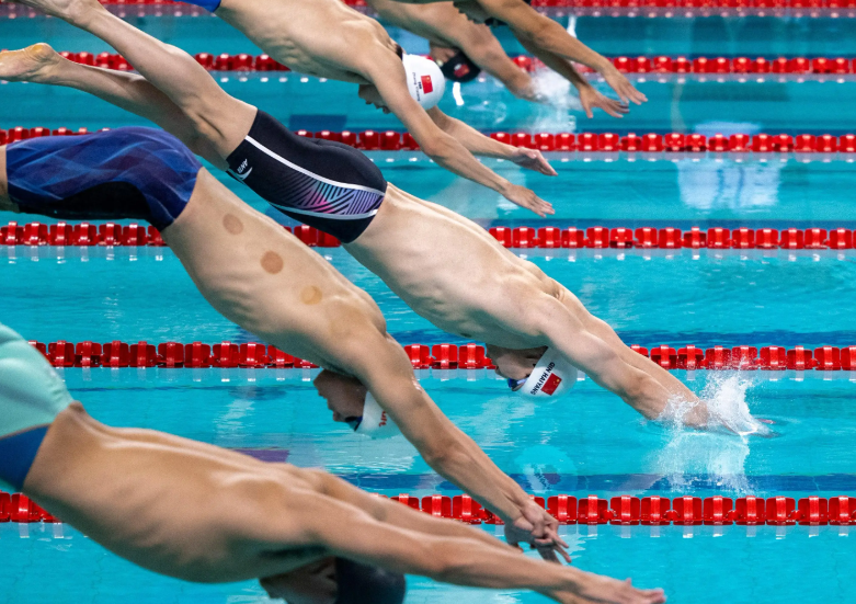 6项目展现冲奖实力，新突破与展望